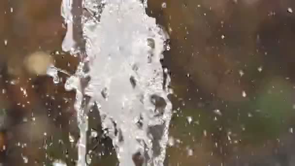 Gotas de lluvia de fuente — Vídeos de Stock