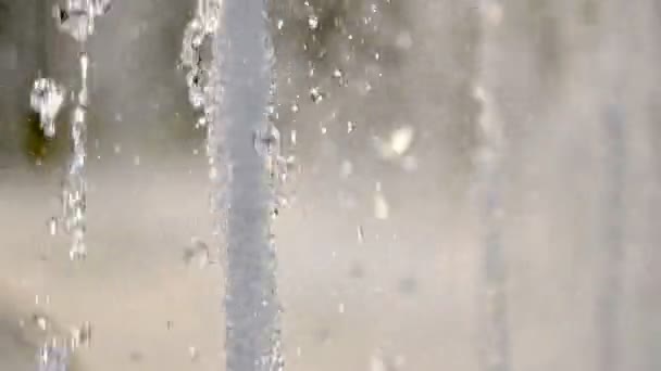 泉雨の滴 — ストック動画