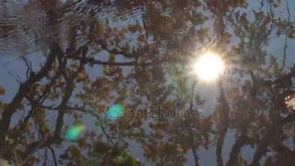 Reflet du soleil dans l'eau — Video