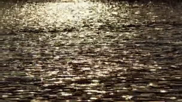 Odbicie słońca w wodzie — Wideo stockowe