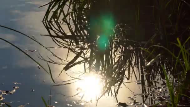 Güneşin altında su yansıması — Stok video