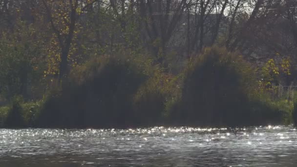 太阳在水中的反射 — 图库视频影像