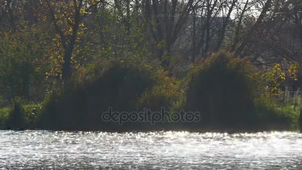 Reflectie van de zon in water — Stockvideo