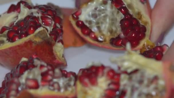 フルーツ ザクロの洗浄部分に切断とデザートの準備のための熟した赤いザクロの果実を洗浄 — ストック動画
