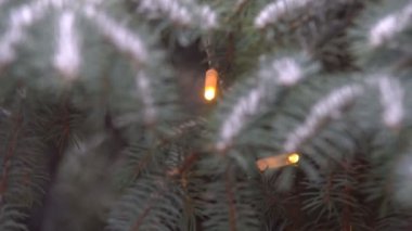 İğne yapraklı ağaç ve ağır kar düşüyor büyük miktarda soğuk kış hava iğne yapraklı ağaç üzerindeki kar