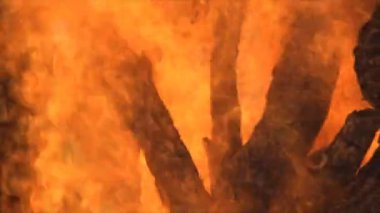 Odun yanan ateştir. Büyük yanan odun ateş. Çok ahşap küme içinde yığılmış bir güçlü kırmızı alevle yakar.