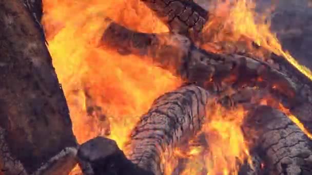 Fogo Está Queimar Madeira Grande Fogo Queimando Madeira Muita Madeira — Vídeo de Stock