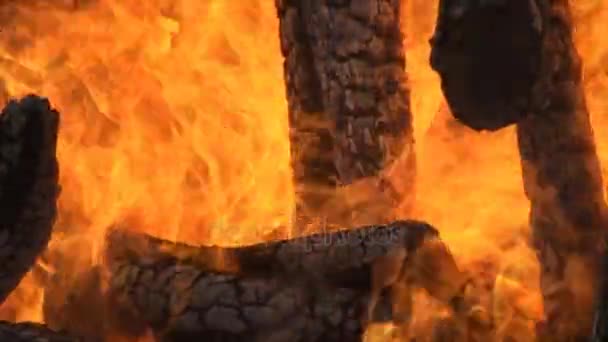 Fuego Está Quemando Madera Gran Fuego Quemando Leña Mucha Madera — Vídeo de stock