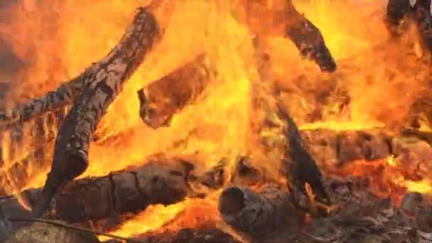Fuego Está Quemando Madera Gran Fuego Quemando Leña Mucha Madera — Vídeos de Stock