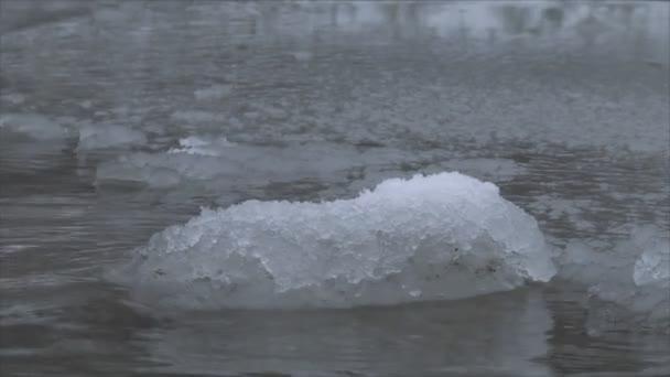 Eisschollen Auf Dem Wasser Winterlandschaft Teich Eis Schwimmt Der Kalten — Stockvideo