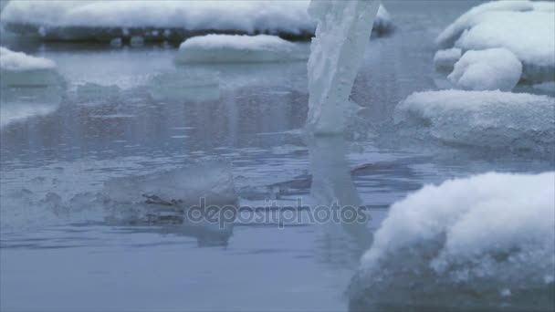 Eisschollen Auf Dem Wasser Winterlandschaft Teich Eis Schwimmt Der Kalten — Stockvideo