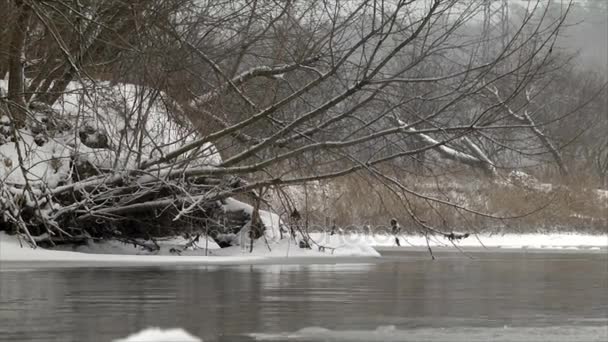 水に流氷 寒い季節の水に浮かぶ氷の池の冬の風景 — ストック動画