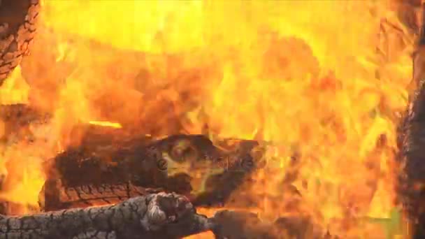 Gran Fuego Quemando Leña Mucha Madera Apilada Una Pila Arde — Vídeo de stock