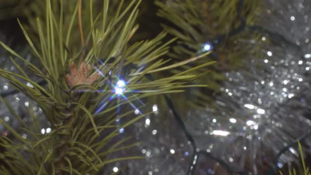 Yıldız Işığı Efektleri Işığı Efektleri Bir Yıldızın Noel Şenlikli Süslemeleri — Stok video