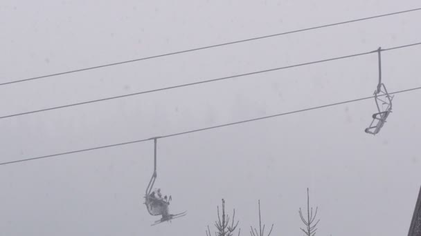 Starker Schneefall Einem Kiefernwald Winter Fällt Viel Schnee Auf Die — Stockvideo