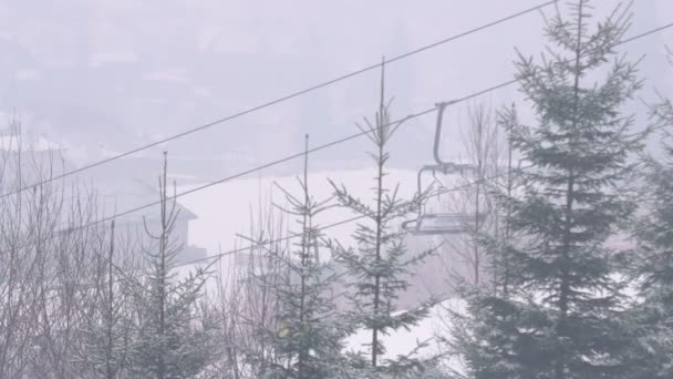 Сильный Снегопад Сосновом Лесу Зимой Ветви Сосен Выпадает Много Сильного — стоковое видео