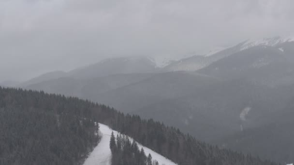 Luftaufnahmen Hochland Eines Wintersportortes Winterlandschaft Mit Schneebedeckten Gipfeln Und Dichtem — Stockvideo