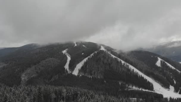 Luftaufnahmen Hochland Eines Wintersportortes Winterlandschaft Mit Schneebedeckten Gipfeln Und Dichtem — Stockvideo