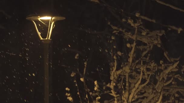 Luzes Rua Adormecem Neve Pesada Luz Brilhante Lanternas Nas Ruas — Vídeo de Stock