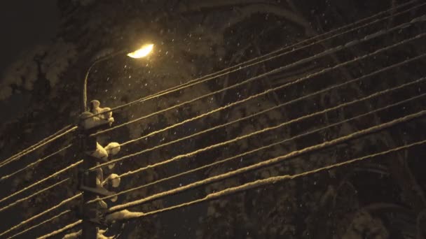 Straatlantaarns Vallen Slaap Zware Sneeuw Helder Licht Van Lantaarns Besneeuwde — Stockvideo