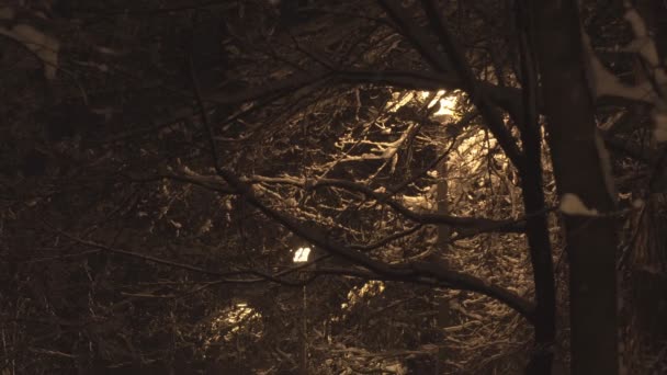 Lampioni Addormentano Sotto Una Forte Neve Luminosa Luce Lanterne Sulle — Video Stock