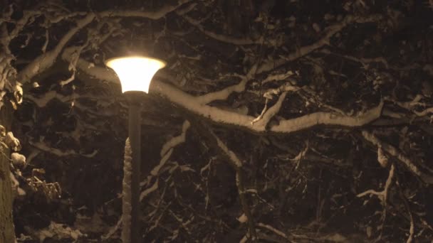 Luzes Rua Adormecem Neve Pesada Luz Brilhante Lanternas Nas Ruas — Vídeo de Stock