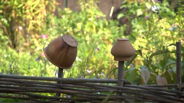 Old Jugs Hanging Fence Ethnographic Museum Household Items Ancient Peoples — Stock Video