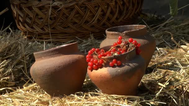 Gamla Kannor Hänger Ett Staket Ett Etnografiskt Museum Som Hushållsföremål — Stockvideo