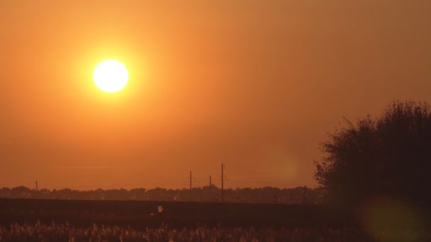 Pôr Sol Noite Movimento Rápido Sol Horizonte — Vídeo de Stock