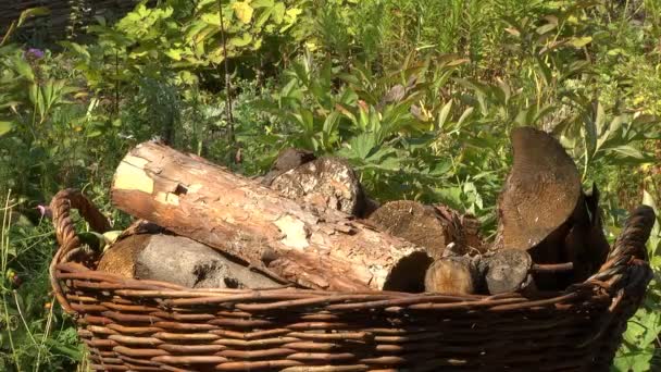 田舎の庭のバスケットに積み込まれた木の丸太は — ストック動画