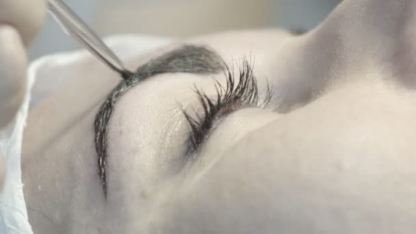 Dans Salon Beauté Des Sourcils Maître Occupe Des Sourcils Conception — Video