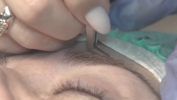 Eyebrow Beauty Salon Master Takes Care Eyebrows Design Coloring Styling — Stock Video