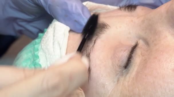 Salón Belleza Cejas Maestro Cuida Las Cejas Diseño Coloración Estilo — Vídeo de stock