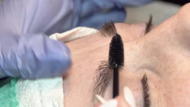 Dans Salon Beauté Des Sourcils Maître Occupe Des Sourcils Conception — Video