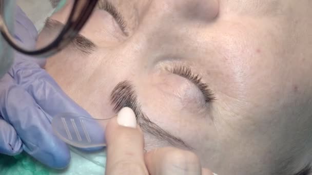 Eyebrow Beauty Salon Master Takes Care Eyebrows Design Coloring Styling — Stock Video