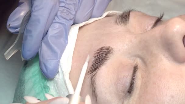 Salón Belleza Cejas Maestro Cuida Las Cejas Diseño Coloración Estilo — Vídeo de stock