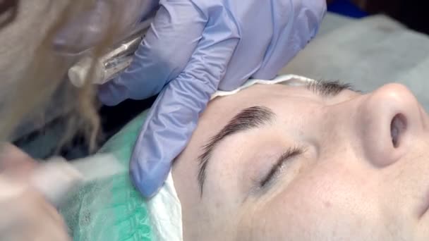 Eyebrow Beauty Salon Master Takes Care Eyebrows Design Coloring Styling — Stock Video