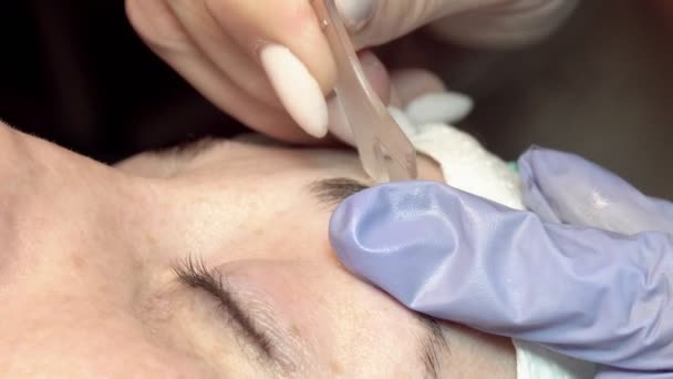 Salón Belleza Cejas Maestro Cuida Las Cejas Diseño Coloración Estilo — Vídeo de stock