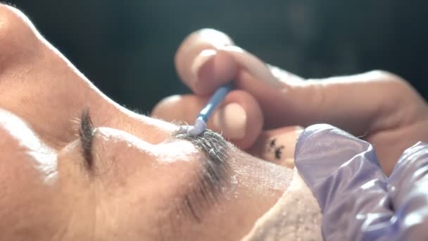 Dans Salon Beauté Des Sourcils Maître Occupe Des Sourcils Conception — Video