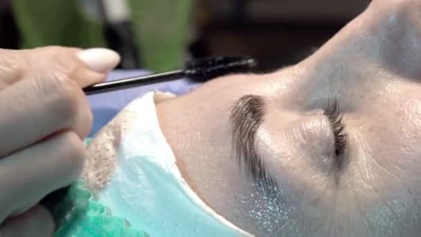 Dans Salon Beauté Des Sourcils Maître Occupe Des Sourcils Conception — Video