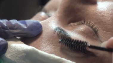 Kaş güzellik salonunda, üstat kaşlarla ilgilenir. Kadın kaşlarının tasarımı ve boyaması ve kaplaması. Renk eşleşmesi. Kozmetik bir araçla düzeltme.