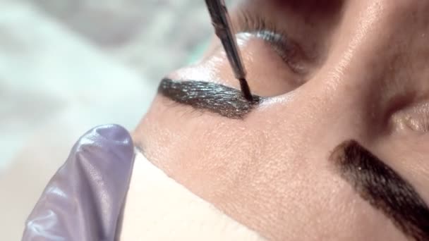 Салоні Краси Брів Майстер Доглядає Бровами Дизайн Забарвлення Стилю Ламінування — стокове відео