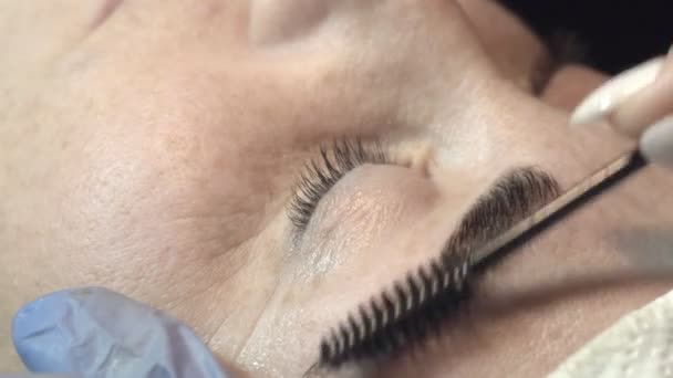 Eyebrow Beauty Salon Master Takes Care Eyebrows Design Coloring Styling — Stock Video