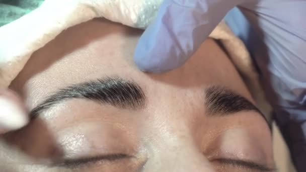 Eyebrow Beauty Salon Master Takes Care Eyebrows Design Coloring Styling — Stock Video