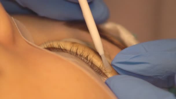 Professionelle Veränderung Der Form Weiblicher Wimpern Schönheitssalon — Stockvideo