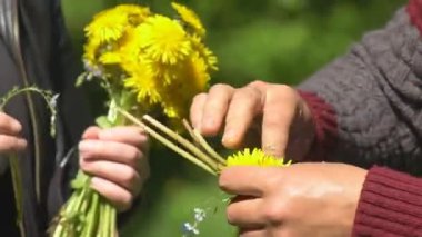 Yakından insanlar karahindiba sapları bağlar çiçek çelengi yapar yeşil çayırda karahindiba çelengi örer