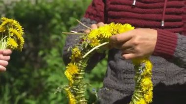 Yakından insanlar karahindiba sapları bağlar çiçek çelengi yapar yeşil çayırda karahindiba çelengi örer