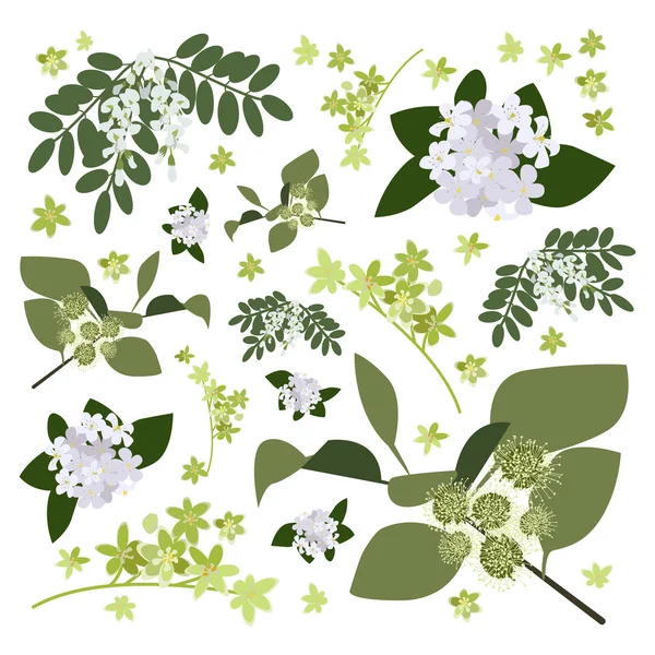 野生の花を図面のセット — ストックベクタ