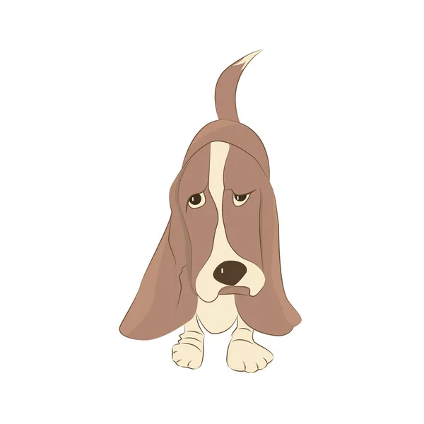 Симпатичная собака-бассет — стоковый вектор