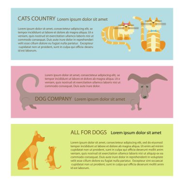 Kedi ve köpek el ilanları